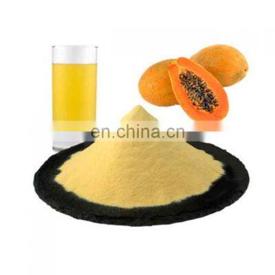 Pure Natural Organic Papaya Powder for Food and Drinks