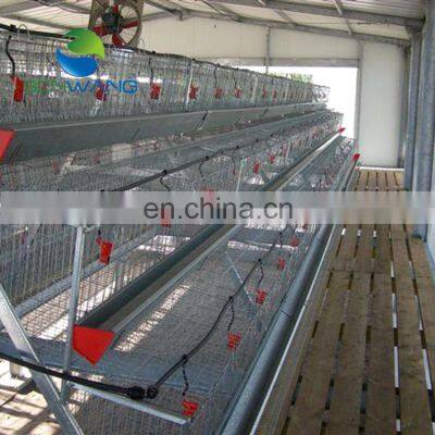 Modern broiler chicken poultry farm house design