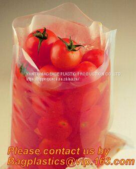 STERILE BAG, STOMACHER OPEN TOP BAG, FILTERED BAGS, FILTER BAG, FILTRA BAG, BLENDER BAGS, BLENDING BAG, LAB BAG, SAMPLE photo-5