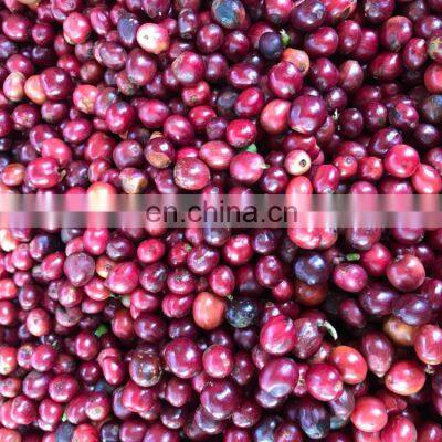 Coffee Beans photo-2