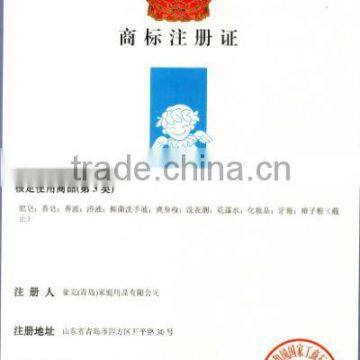Daycare trademark registration certificate