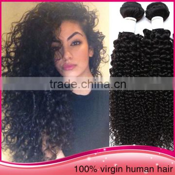 2015 Hot Selling Kinky Curly Hair Weft Noble Kinky Twist Hair 100% Virgin human hair