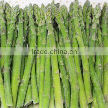 IQF style high quality green asparagus