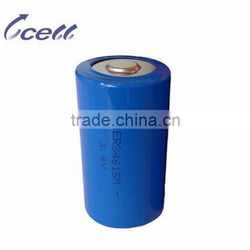 D 3.6V 14000mAh ER34615M Cylinder primary lithium battery