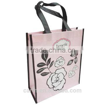 New Design and Favorable Price PP Non Woven Bag