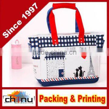 OEM Custom 100% Cotton Bag / Canvas Bag (910028)