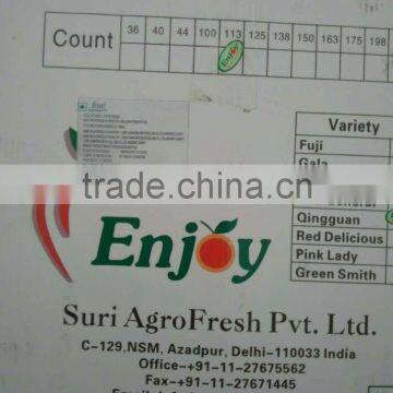 Apples Container in QINGDAO photo-5