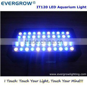 Full spectrum IT2040 120W Chinese Led Aquarium Lights