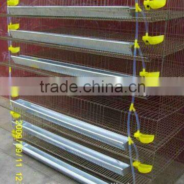 Full Automatic Quail Farming Cages photo-2