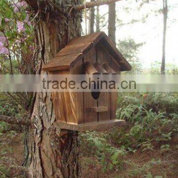 wild bird house