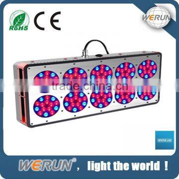 Factory directly supply functional plant led grow lights europe