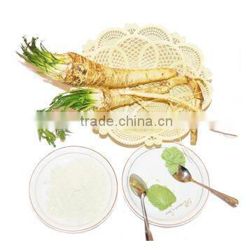 Air Dried Horseradish Powder 80mesh