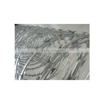 Hot Popular Concertina Razor Wire Direct Form Factory photo-5
