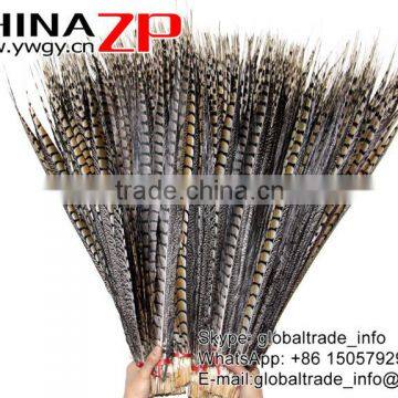 CHINAZP Exporting Wholesale Top Quality Large Natural Beautiful Lady Amherst Pheasant Tail Feathers for DIY photo-2