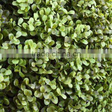 Yellow and green color buxus artificial leaf fence