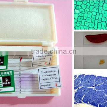 Biology microscope slides microbiology microscope slides