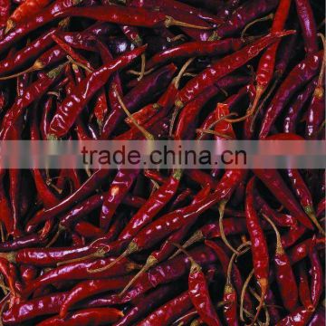 2012 dried chilli 7cm up in carton