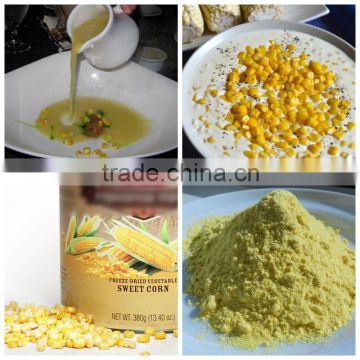 Healthy foods of freeze-dried sweet corn kernels