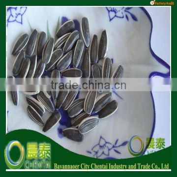 2013 Hulled Top Quality 24/64 Sunflower Seeds 5009 Type