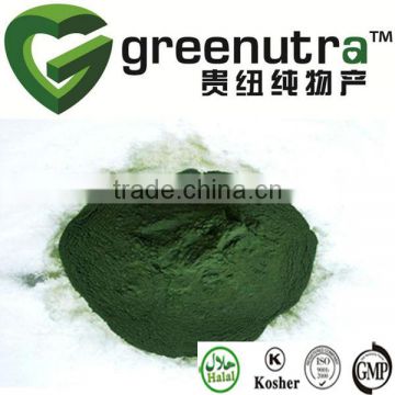 spirulina platensis