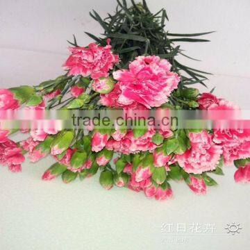 low price all types of flowers buy from flower planting base