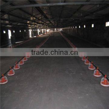 Chiken feeding system poultry farm production