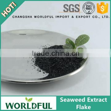 Factory Provide Best Quality Seaweed Extract Fertilizer Seaweed Extract Flake Price