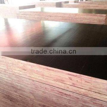 Vietnam Plywood for Packing, Furniture and Commercial photo-5