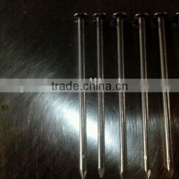 Zinc-plated Common Nails Manufacturer