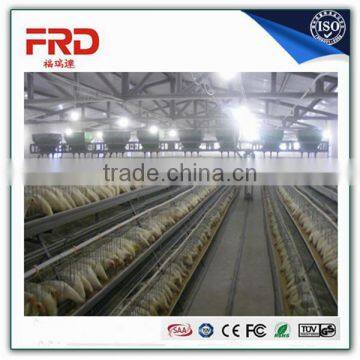 Newly design a type chicken layer cages(whatsapp:+86-152 7570 9648)