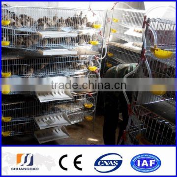 2014 new!!! cheap quail cage/poultry cages feeding systems(manufactory)