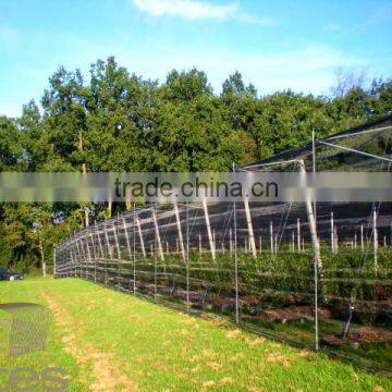 HDPE Agriculture Vineyard Plastic Apple Tree Anti Hail Net for Plantations photo-3