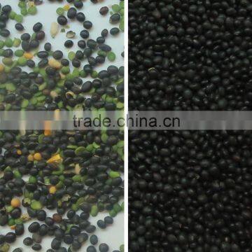 New Products Double Camera LED Light CCD Color Sorter Sorting Machine For Beans photo-4