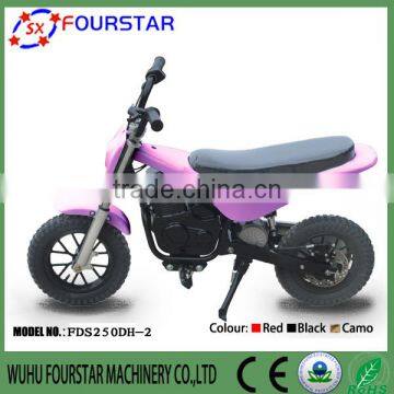 2015 Hot Sale 120W Fashionable FSD250DH-2 Electric Scooter for Great Fun photo-6