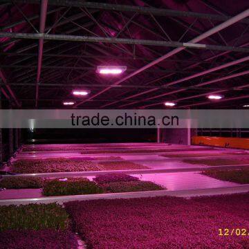 Hot Sell MarsHydro 1600W Greenhouse Veg/Bloom/Flower Cob LED Grow Light Full Spectrum Grow Lamp photo-5