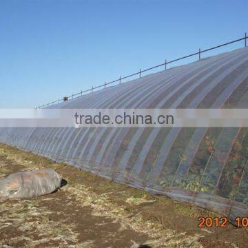 Transparent PE film greenhouse film for orange growing