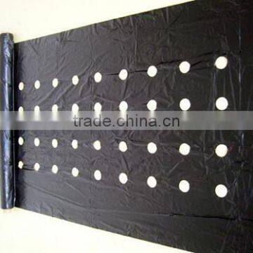 PE Agriculture Perforated Plastic Mulch Film photo-4
