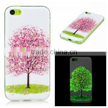 Hot Sale IMD Luminous Protective TPU Phone Case For iPhone 5C