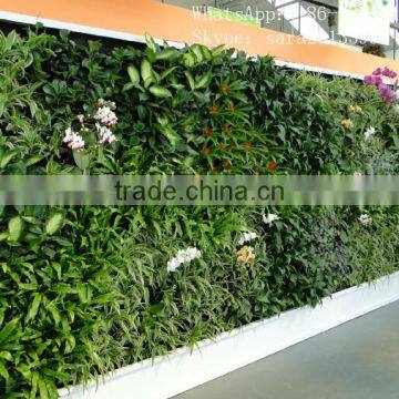 SJCHY5934 Landscaping Artificial Grass Wall,foliage Wall Artificial, Wall Decoration photo-2
