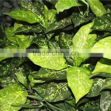 stickers home garden deco 200*200 cm indoor or outdoor artificial corner succulent green climbing plant wall Ezwq10 104