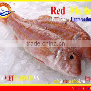 WHOLE FROZEN RED MULLET photo-2