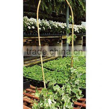 U Shape Bamboo Poles Garden Hoops photo-3
