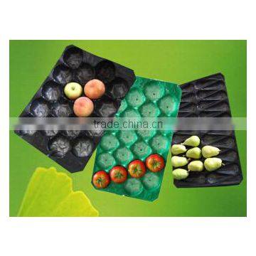 SGS/China/ PP Tray Liners for Fruit photo-3