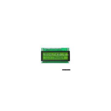 Graphic LCD Module