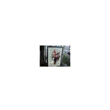 Lenticular Application Software slim lightbox