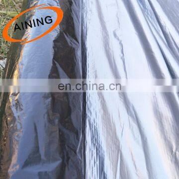 Black and White Plastic Strawberry Mulch Film With Low Price photo-2