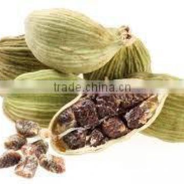 High quality Food Grade Cardamom for Bulk export