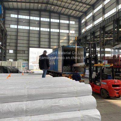 ASTM Standard 2mm Geomembrane Lining for Landfill Project
