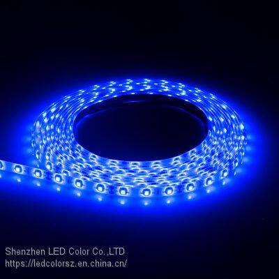 Hot Selling 3528 Blue Flex Decoration Led Strip 60leds Led Strip photo-3