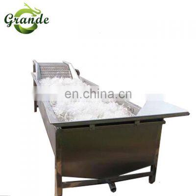 500kg/h Industrial Automatic Fruit Washer Dryer Vegetable Washing Machine Basil Bubble Washing Machine photo-5